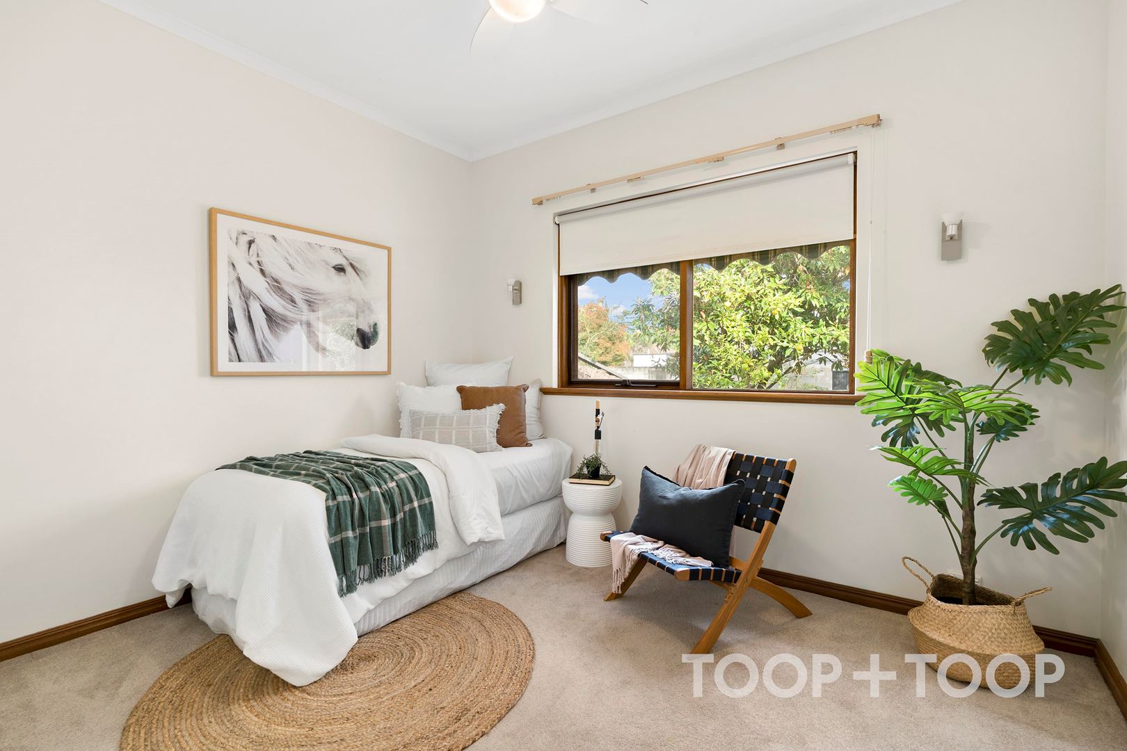 17 Jarvis Street, Erindale SA 5066, Erindale - Thumbnail 7