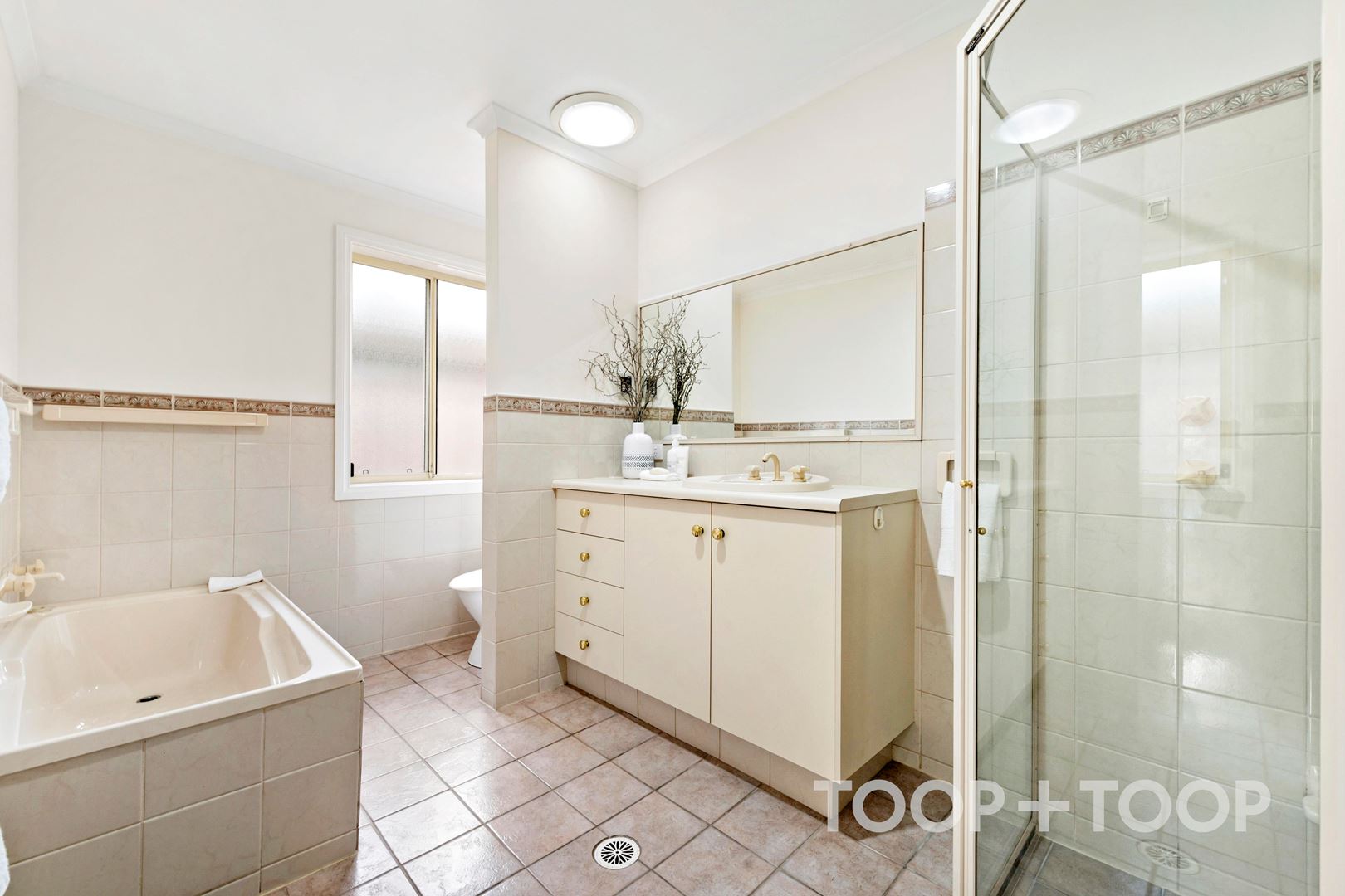19 Boucaut Avenue, Klemzig SA 5087, Klemzig - Thumbnail 3