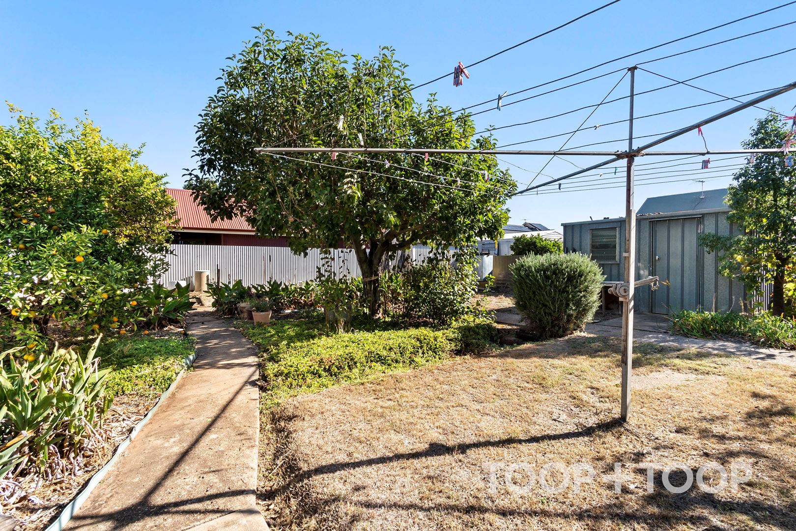 43 Russell Terrace, Woodville Park SA 5011, Woodville Park - Thumbnail 8