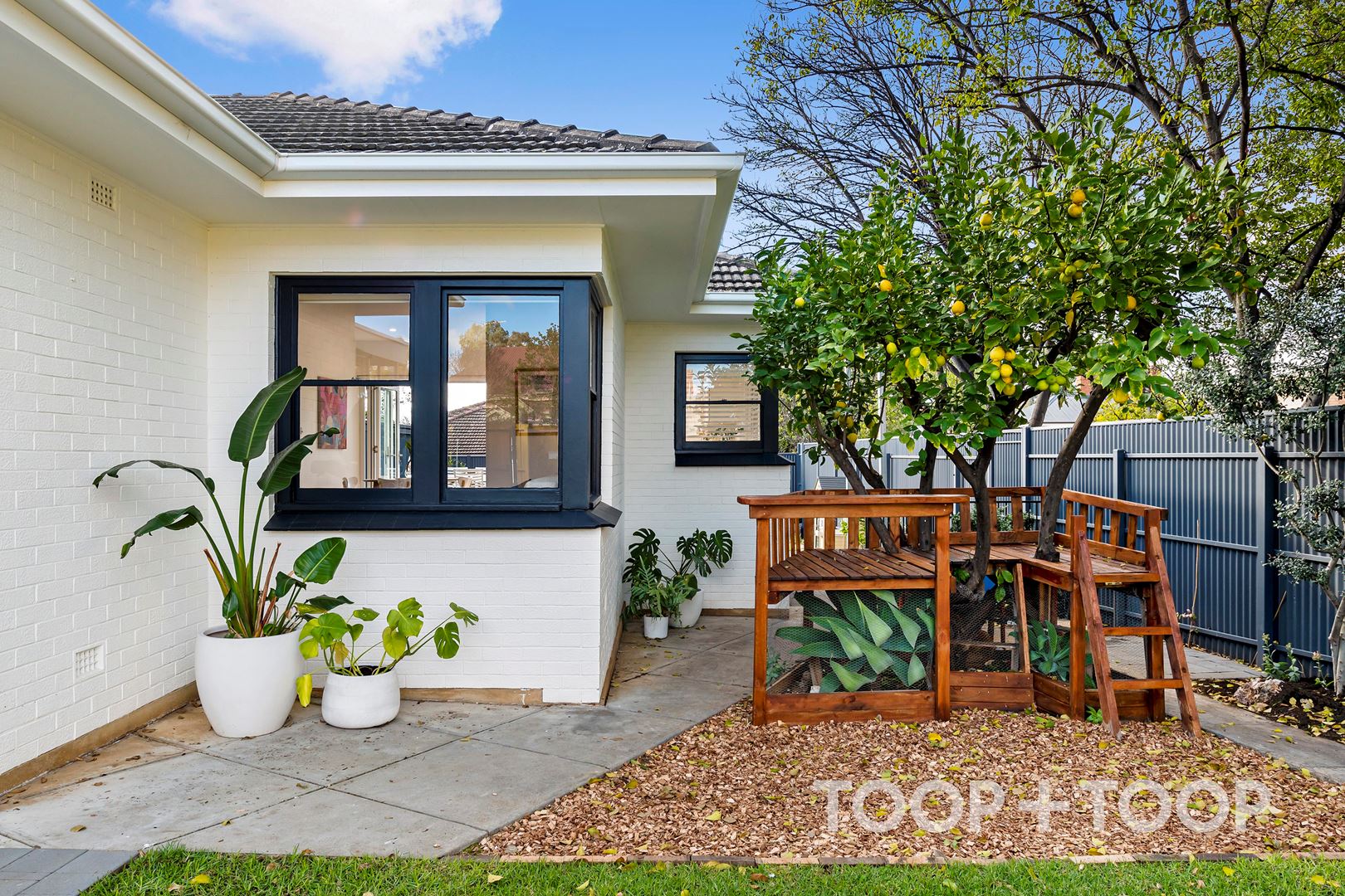 77 Ann Street, Stepney SA 5069, Stepney - Thumbnail 3