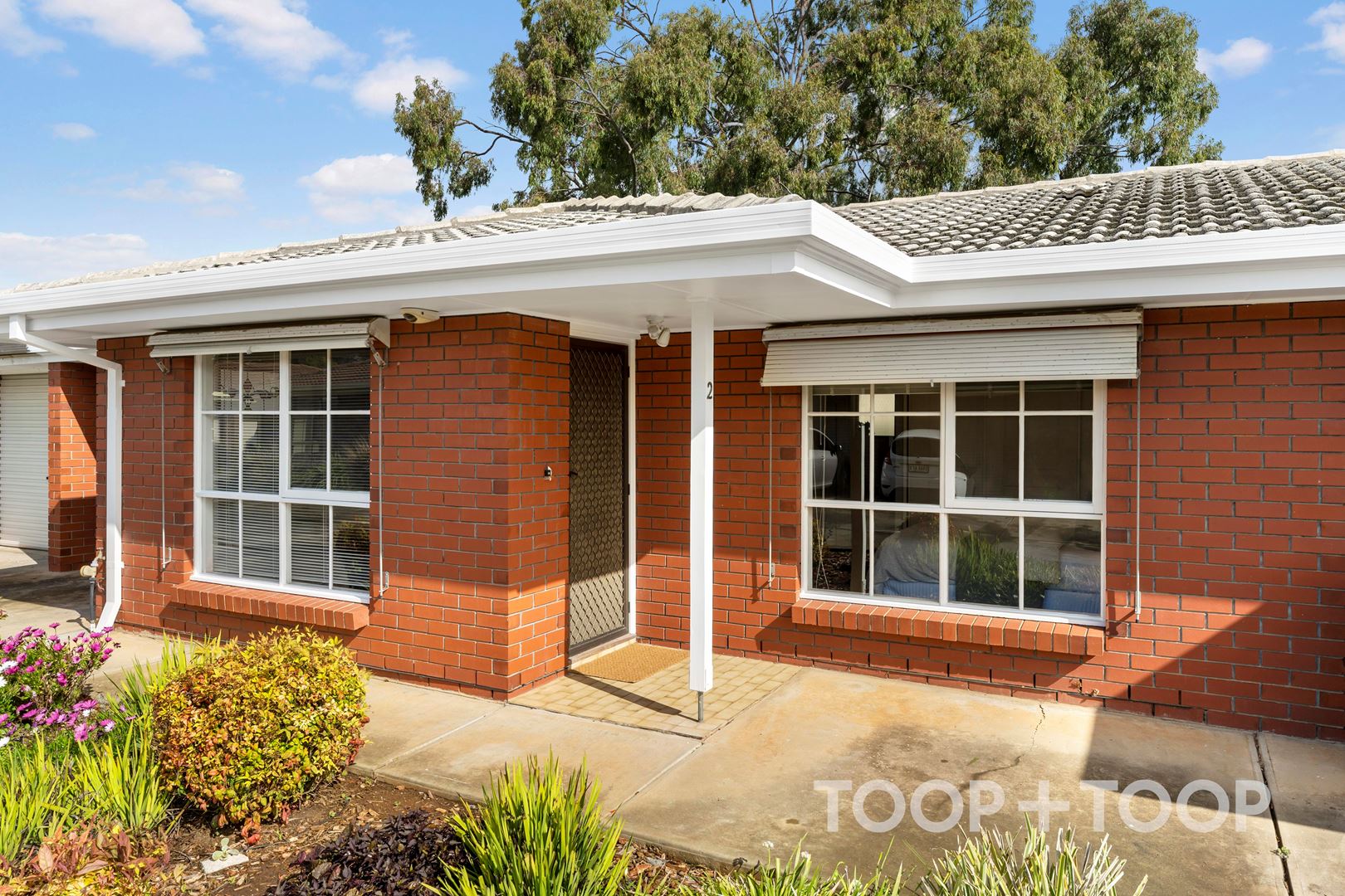 2 / 74 Mcdonnell Avenue, West Hindmarsh SA 5007, West Hindmarsh - Thumbnail 2