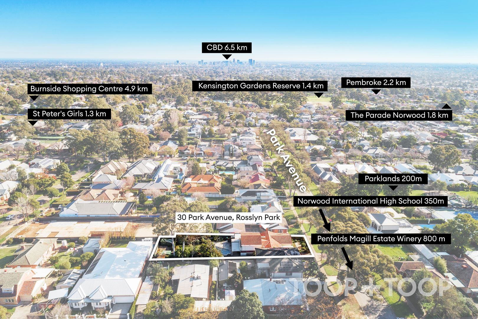30 Park Avenue, Rosslyn Park SA 5072, Rosslyn Park - Thumbnail 2