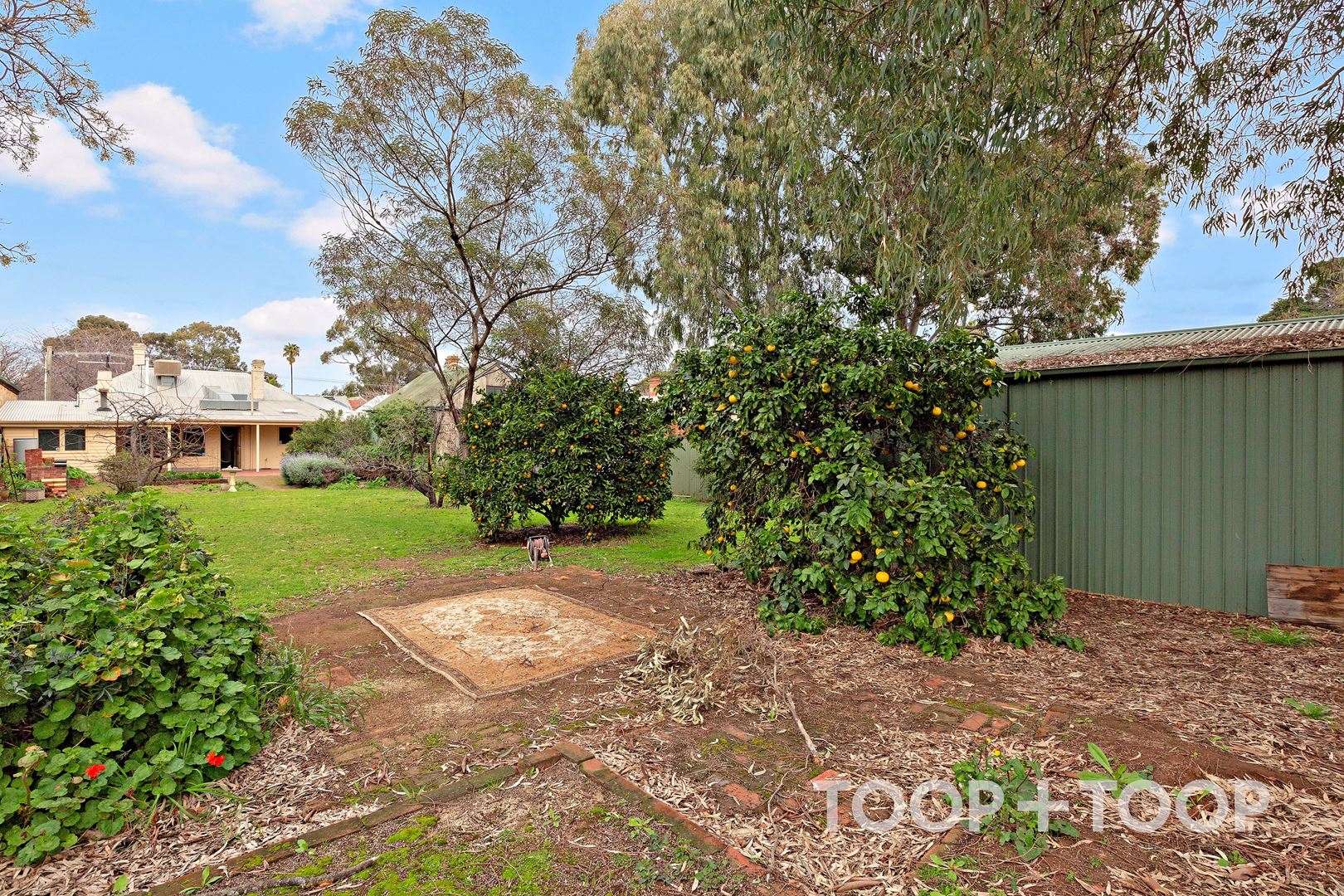 7 Elizabeth Street, Eastwood SA 5063, Eastwood - Thumbnail 4