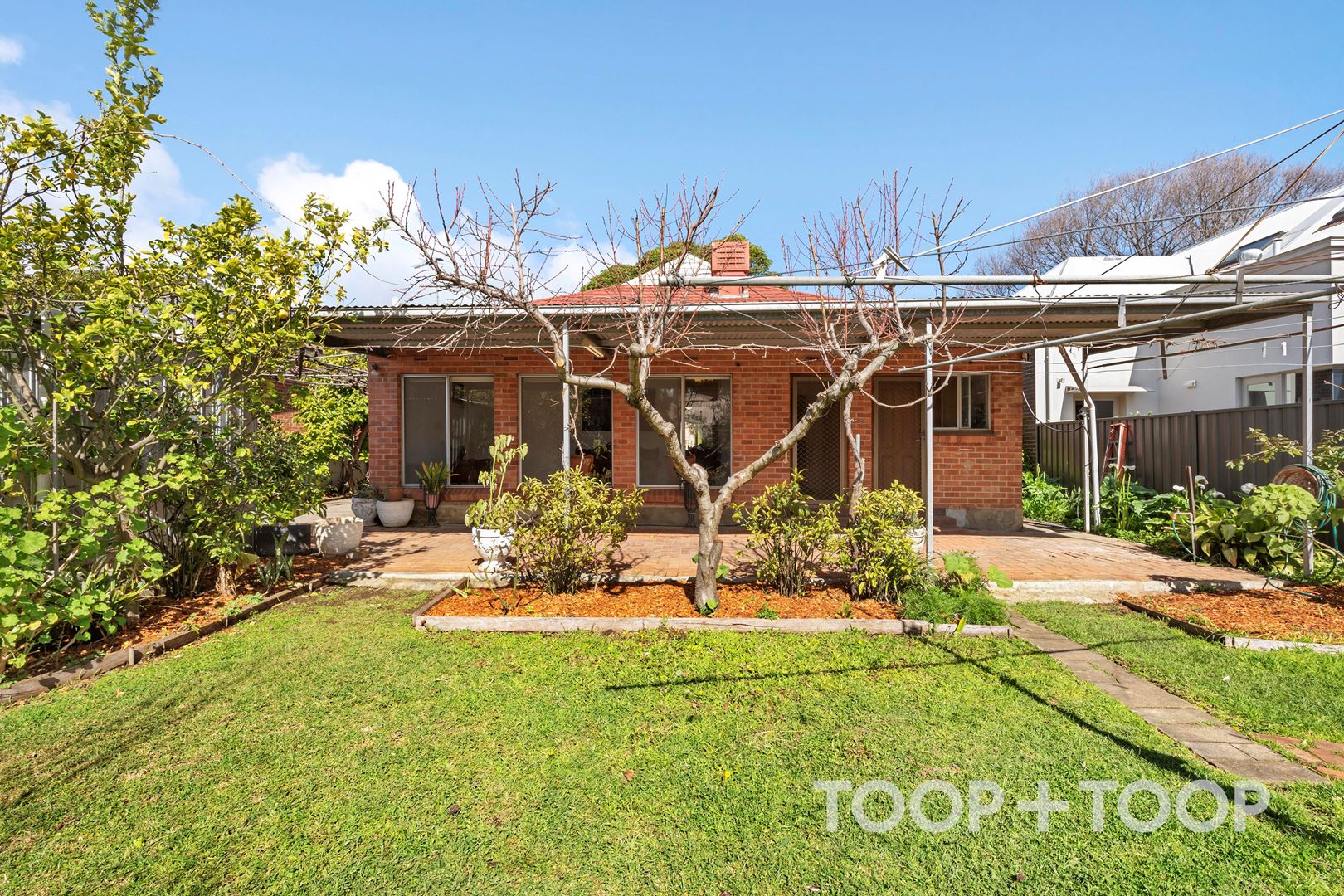28 Opey Avenue, Hyde Park SA 5061, Unley - Thumbnail 5