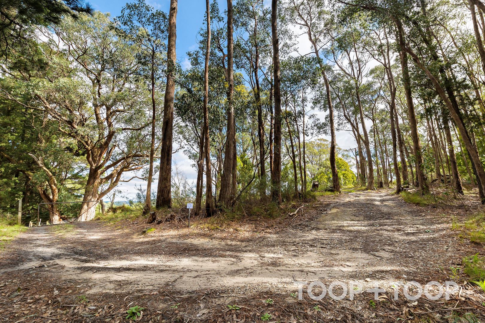 364 Carey Gully Road, Mount George SA 5155, Mount George - Thumbnail 6