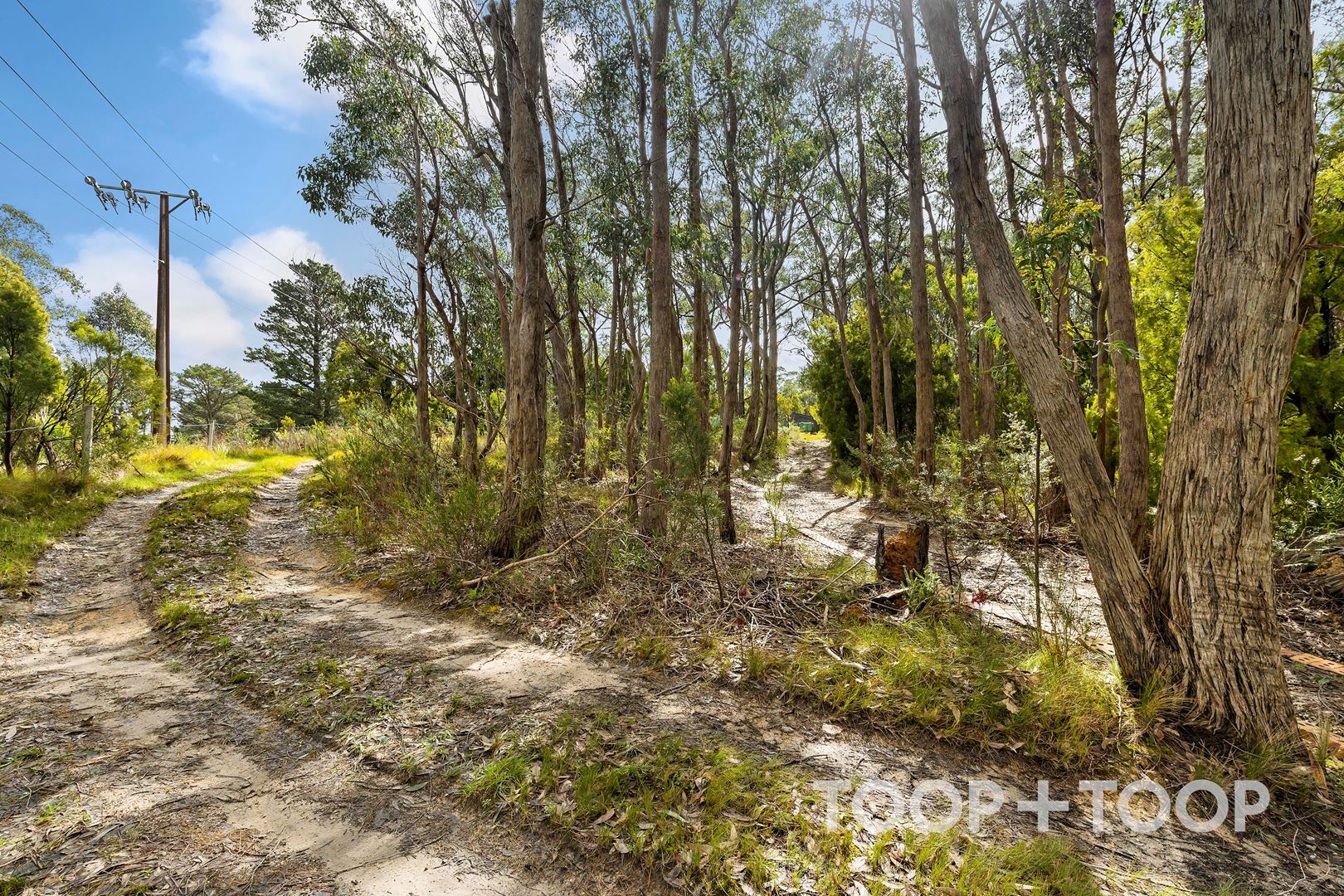 364 Carey Gully Road, Mount George SA 5155, Mount George - Thumbnail 7