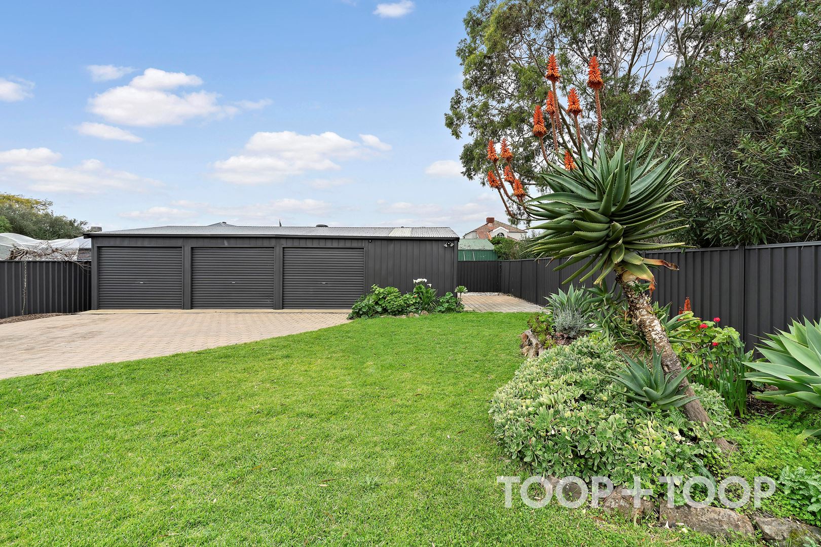 56 Haig Street, Netherby SA 5062, Netherby - Thumbnail 5