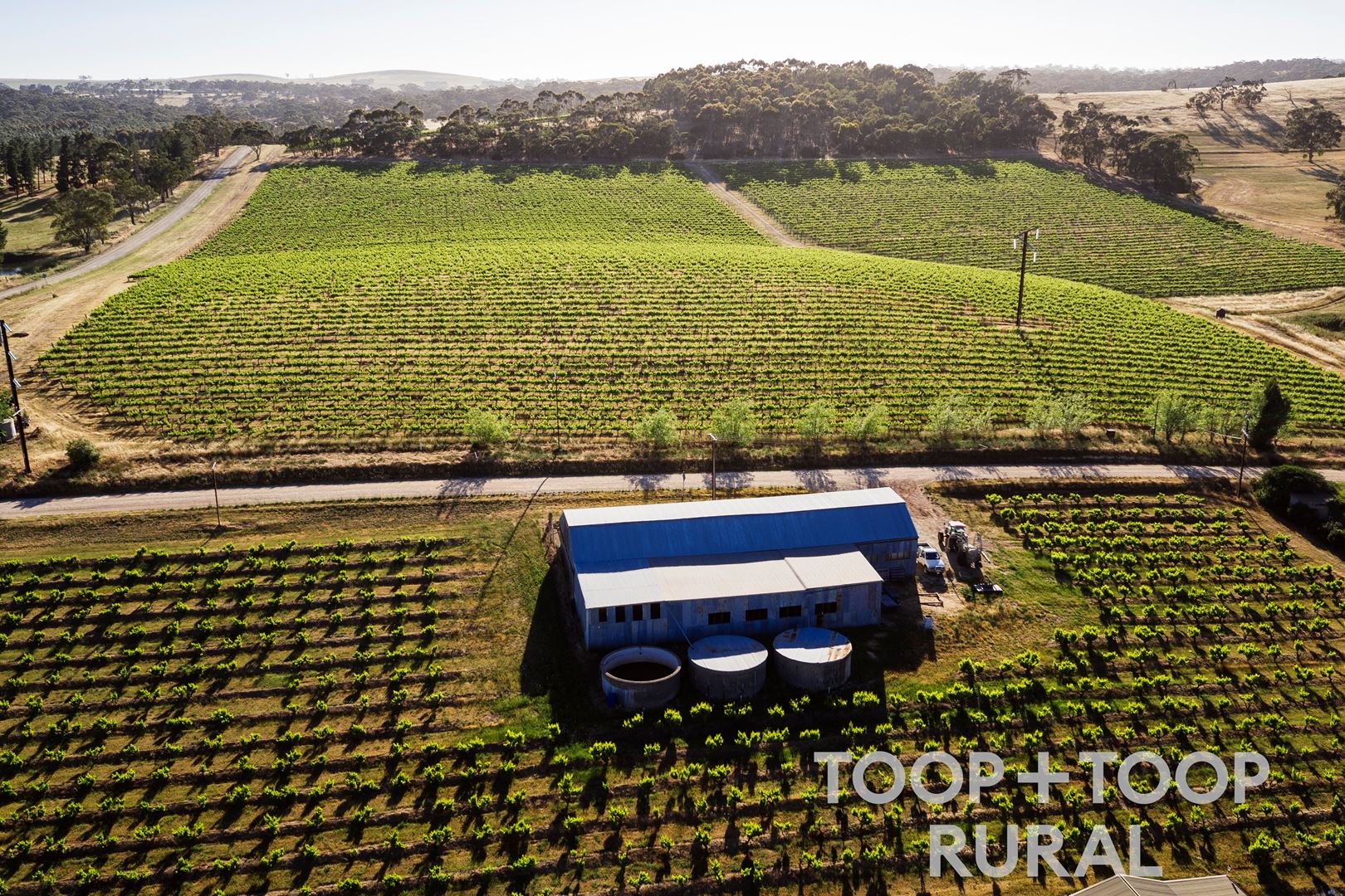 50 Roach Road, Stanley Flat SA 5453, Stanley Flat - Thumbnail 4