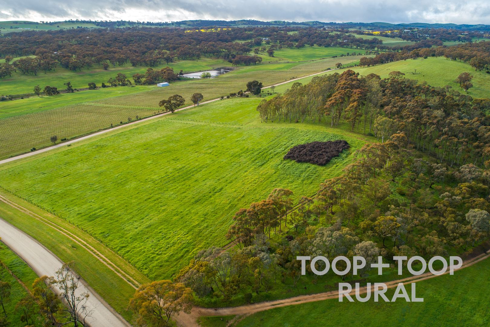 50 Roach Road, Stanley Flat SA 5453 TOOP+TOOP