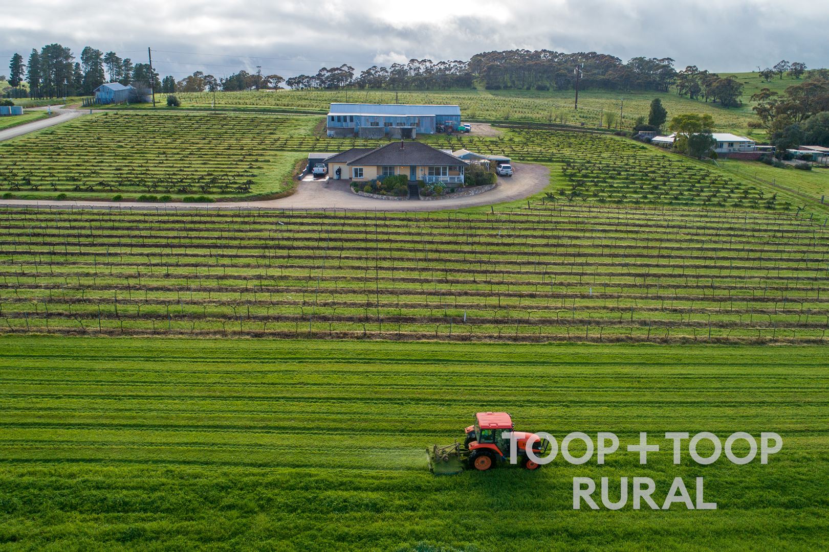 50 Roach Road, Stanley Flat SA 5453 TOOP+TOOP