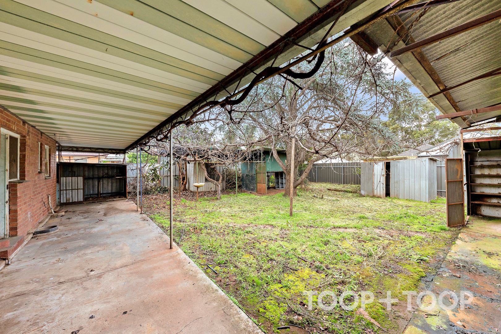 14 Walker Avenue, Paradise SA 5075, Paradise - Thumbnail 8