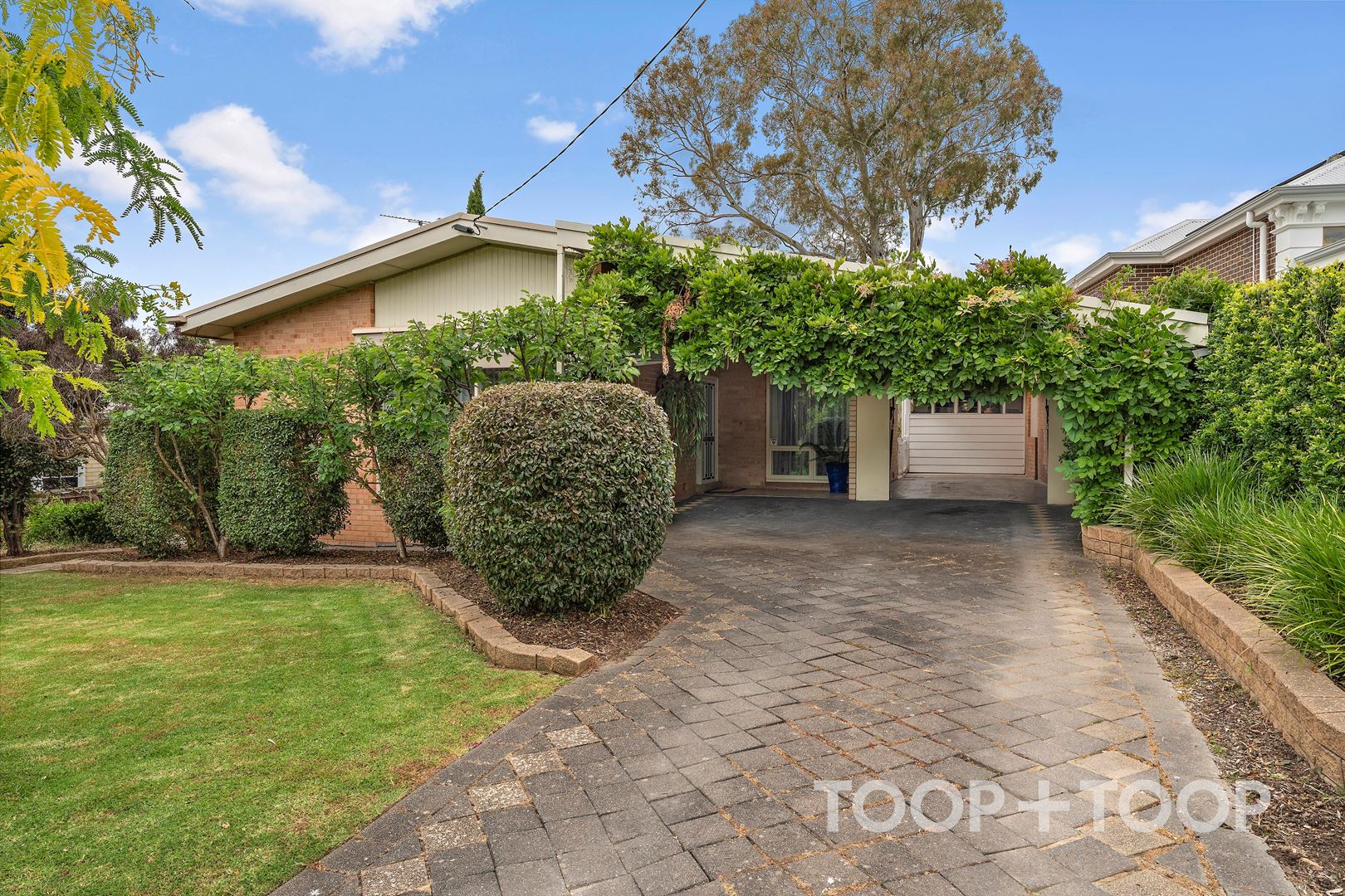 8 Katoomba Road, Beaumont SA 5066, Beaumont - Thumbnail 4