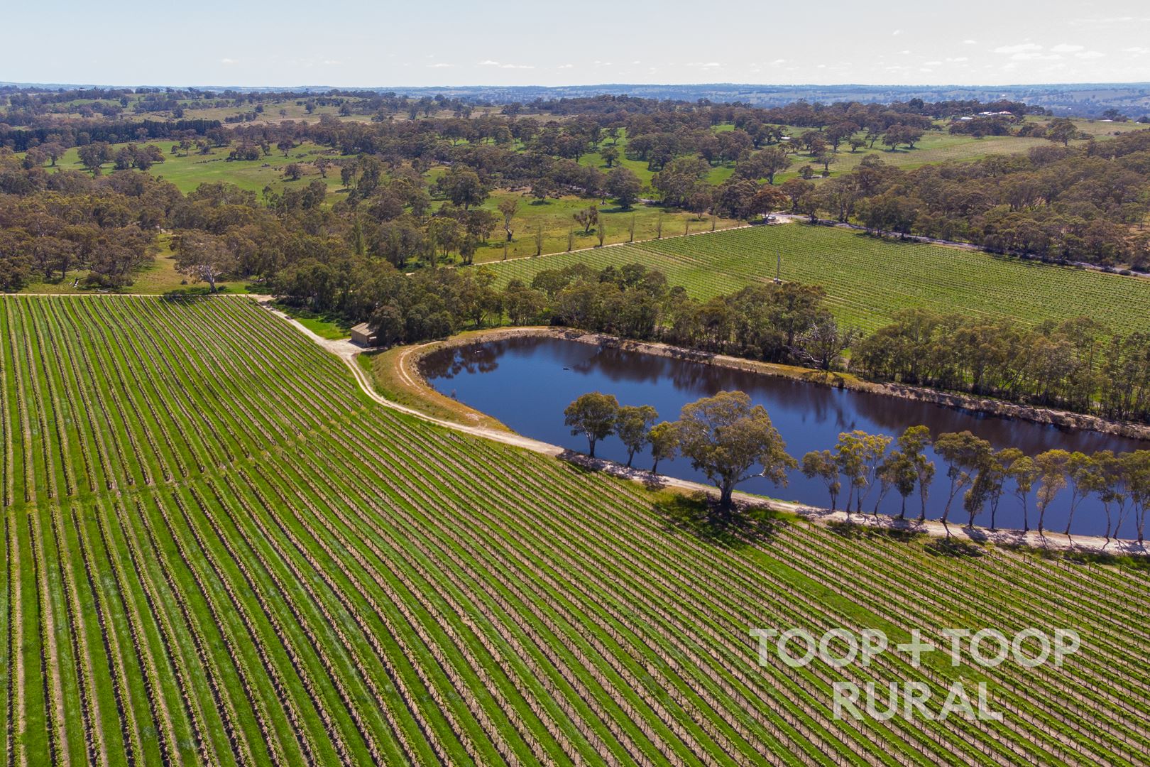 Lot 727 Tanunda Creek Road, Flaxman Valley SA 5235, Flaxman Valley - Thumbnail 4