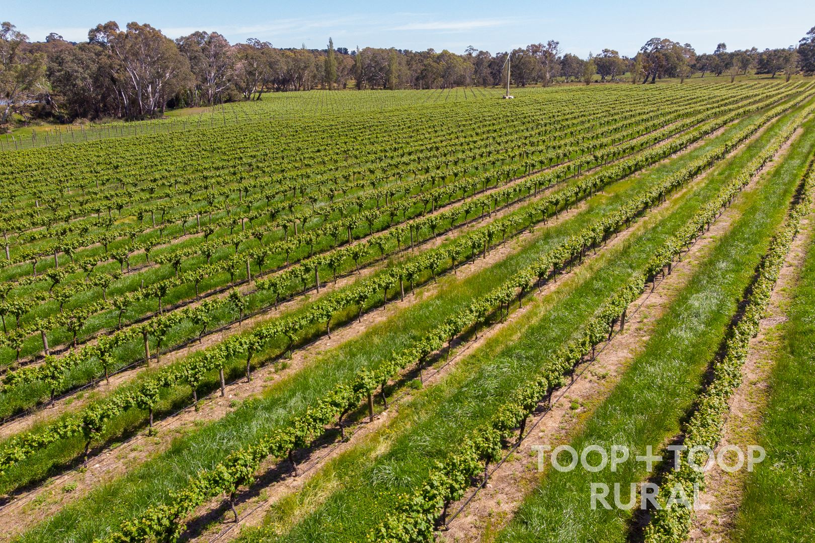 Lot 727 Tanunda Creek Road, Flaxman Valley SA 5235, Flaxman Valley - Thumbnail 6