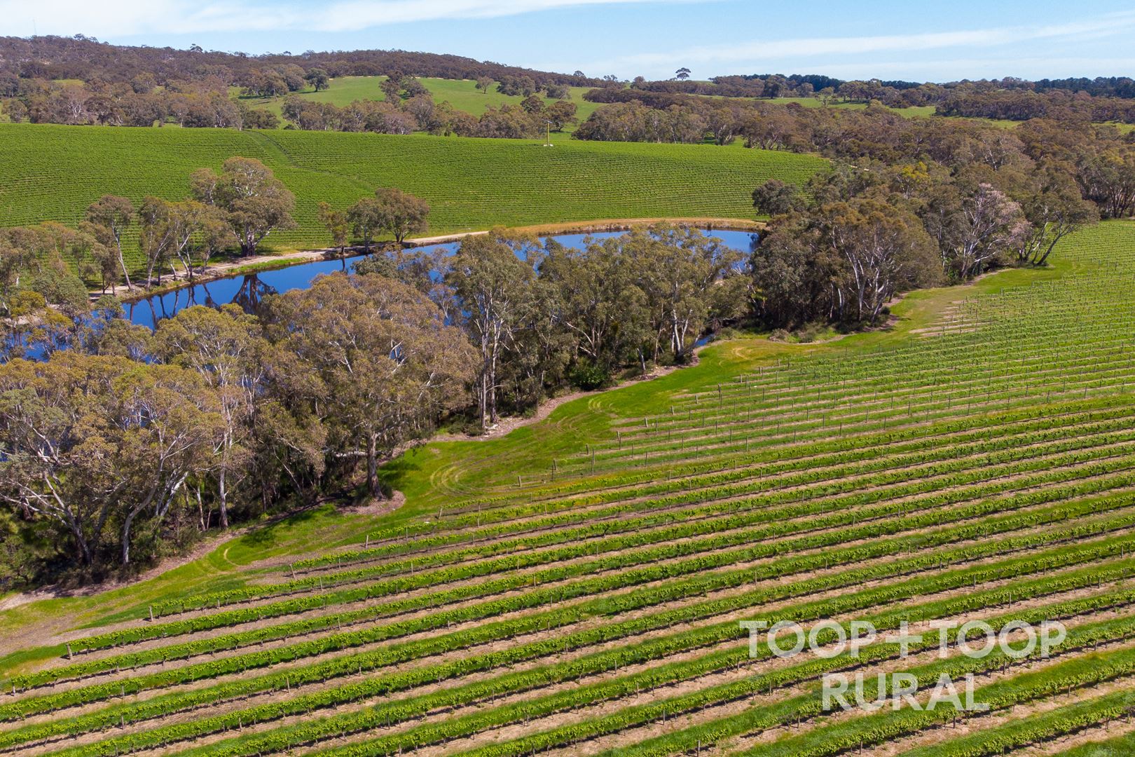 Lot 727 Tanunda Creek Road, Flaxman Valley SA 5235, Flaxman Valley - Thumbnail 3