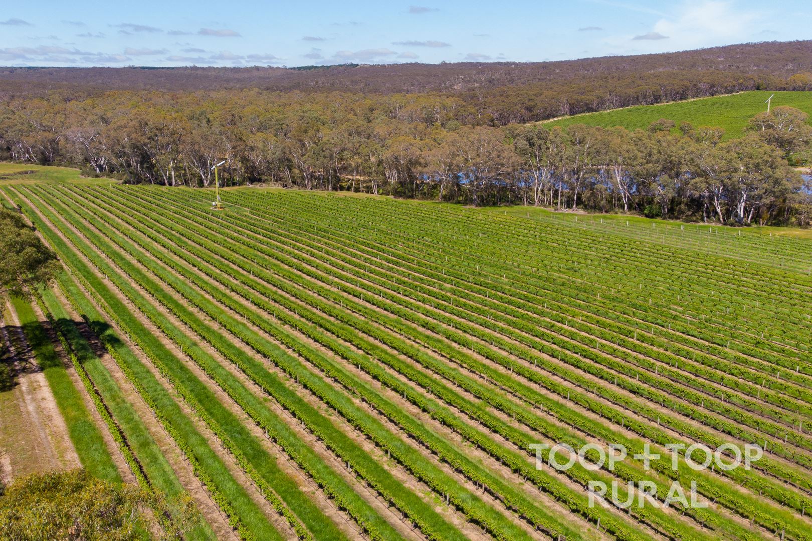 Lot 727 Tanunda Creek Road, Flaxman Valley SA 5235, Flaxman Valley - Image 1