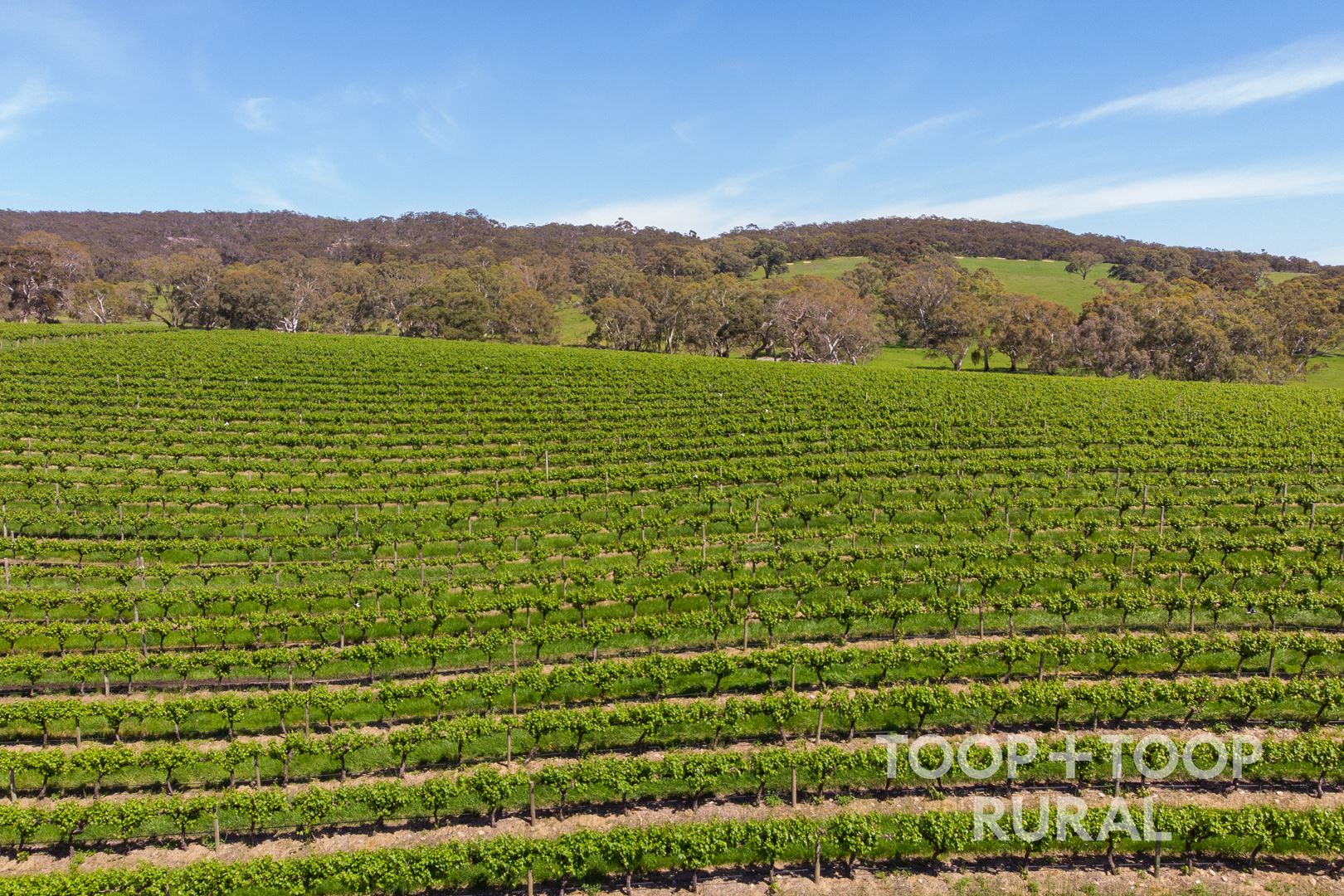 Lot 727 Tanunda Creek Road, Flaxman Valley SA 5235, Flaxman Valley - Thumbnail 2