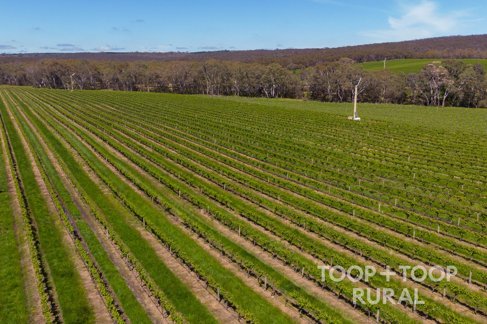 Lot 727 Tanunda Creek Road, Flaxman Valley SA 5235, Flaxman Valley - Thumbnail 7