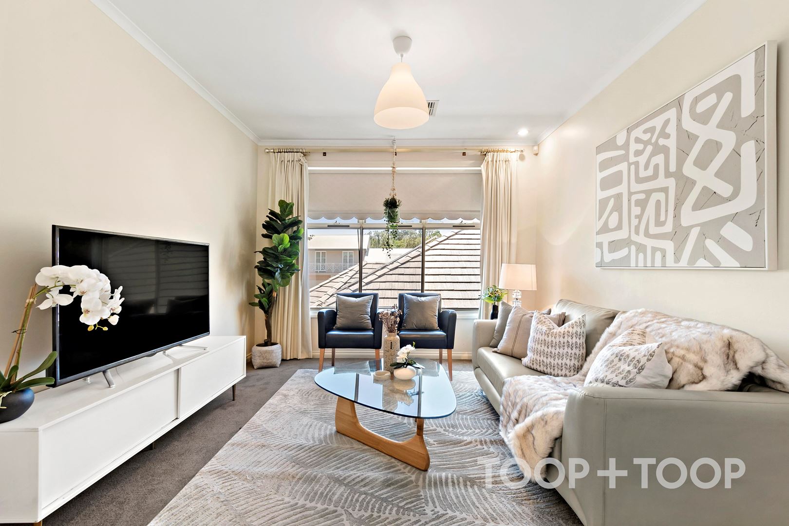 11 Deakin Grove, Glenside SA 5065, Glenside - Thumbnail 7