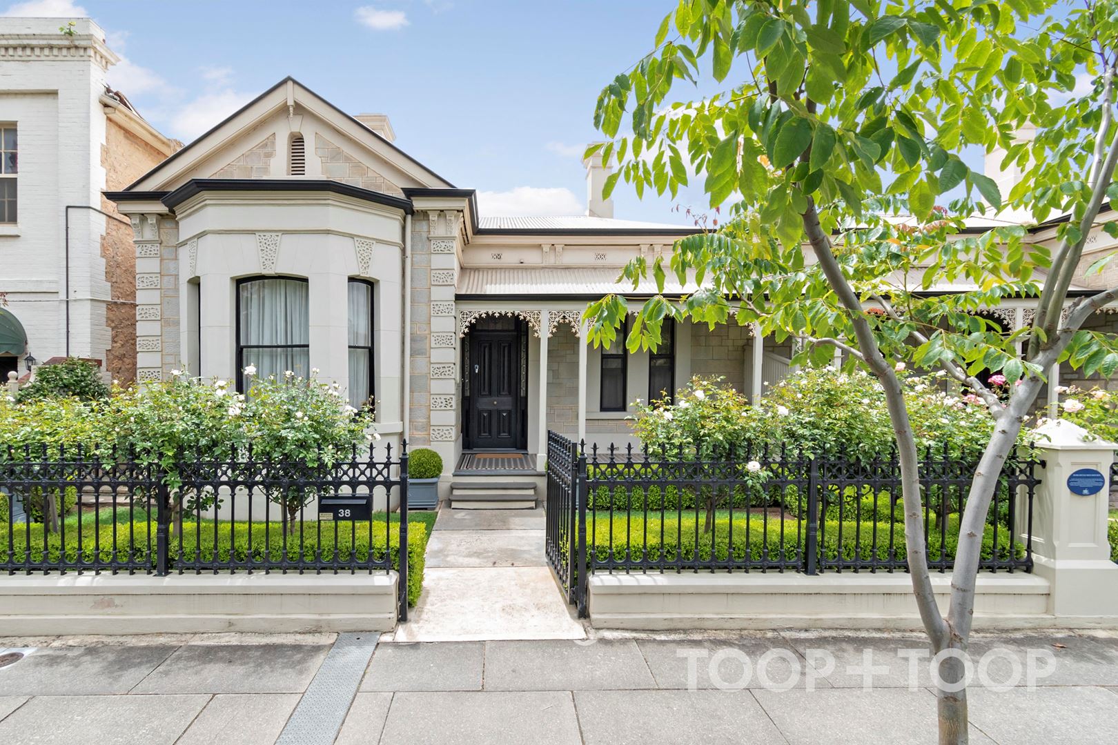 38 Finniss Street, North Adelaide SA 5006, North Adelaide - Image 1