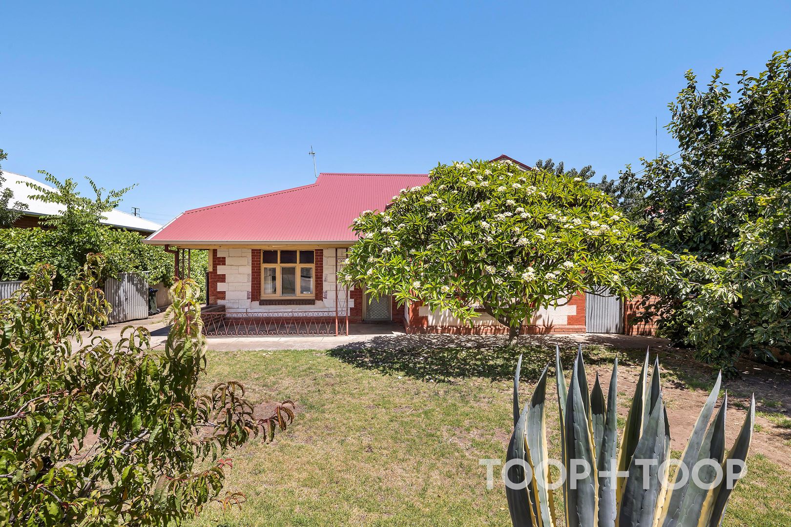 45 Blanford Street, West Croydon SA 5008, West Croydon - Thumbnail 3