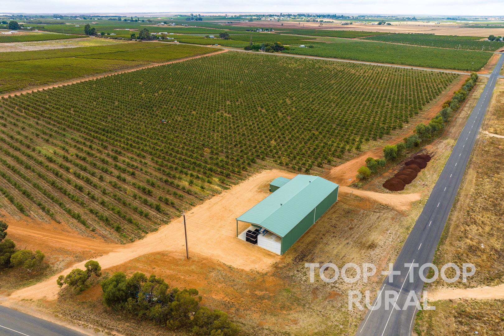 402 & 500 Balfour Ogilvy Avenue, Loxton North SA 5333, Loxton North - Thumbnail 4