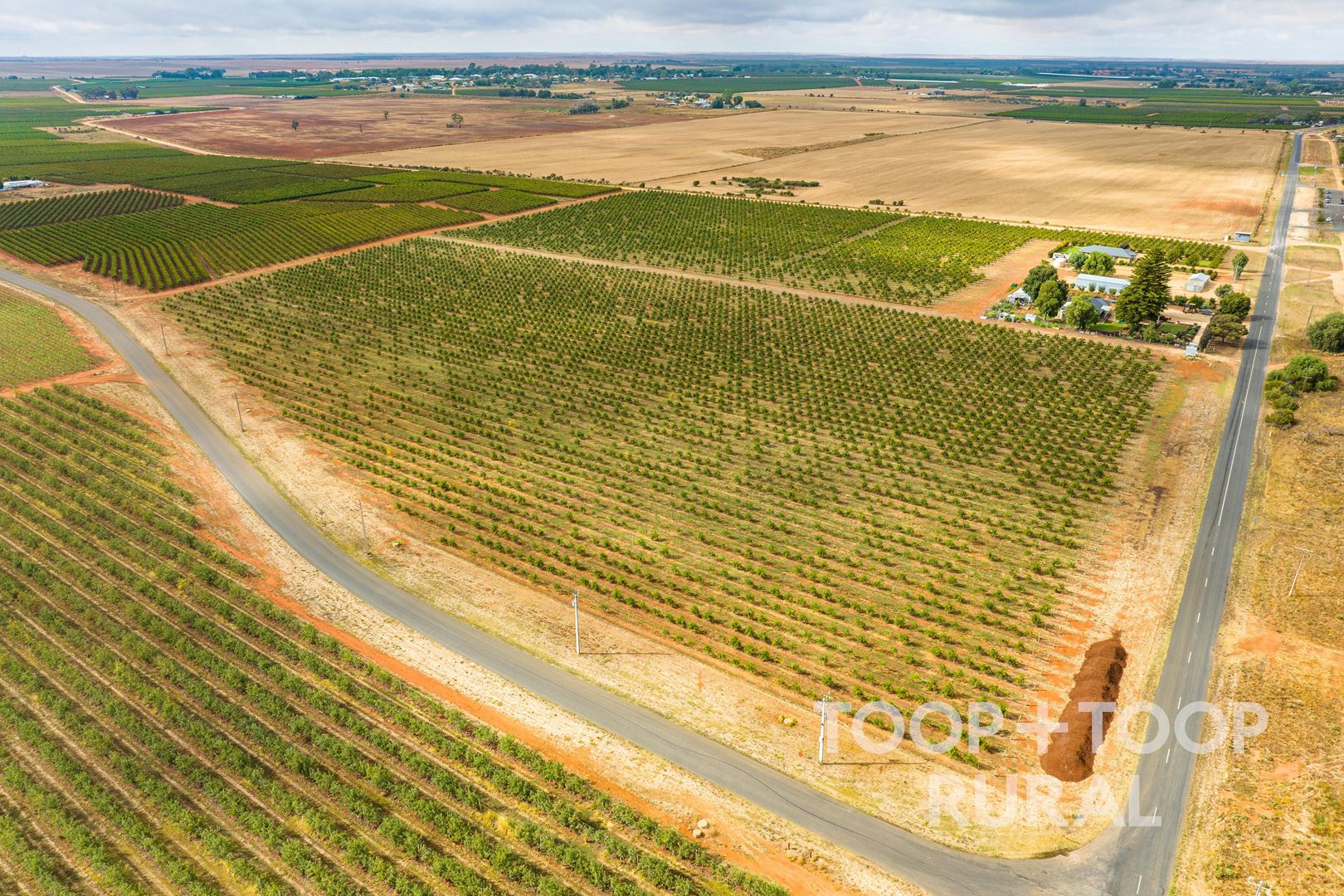 402 & 500 Balfour Ogilvy Avenue, Loxton North SA 5333, Loxton North - Thumbnail 5