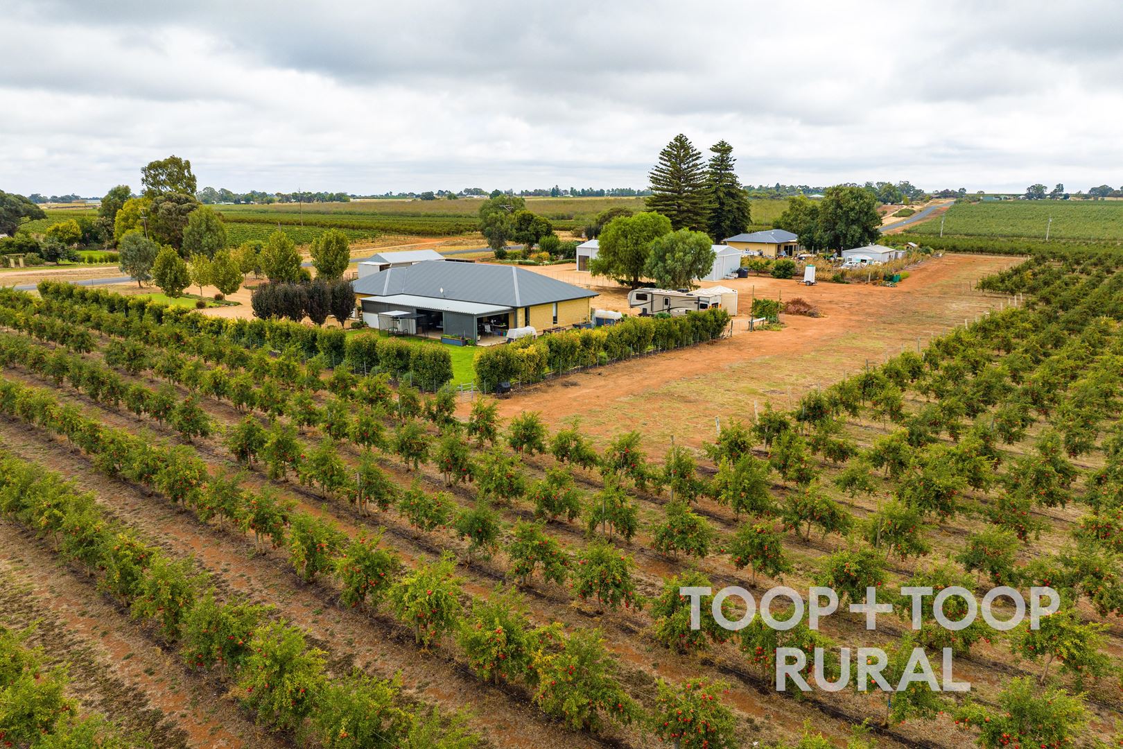 402 & 500 Balfour Ogilvy Avenue, Loxton North SA 5333, Loxton North - Thumbnail 2