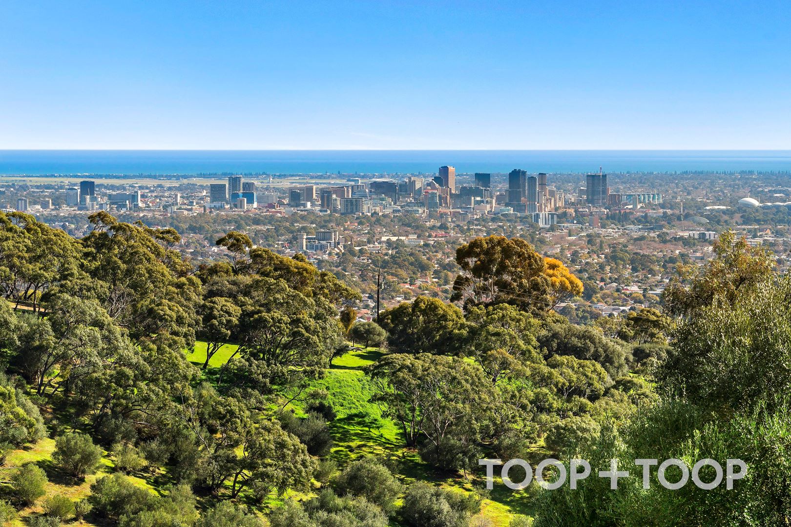 1 Knoll Crescent, Teringie SA 5072, Teringie - Thumbnail 2