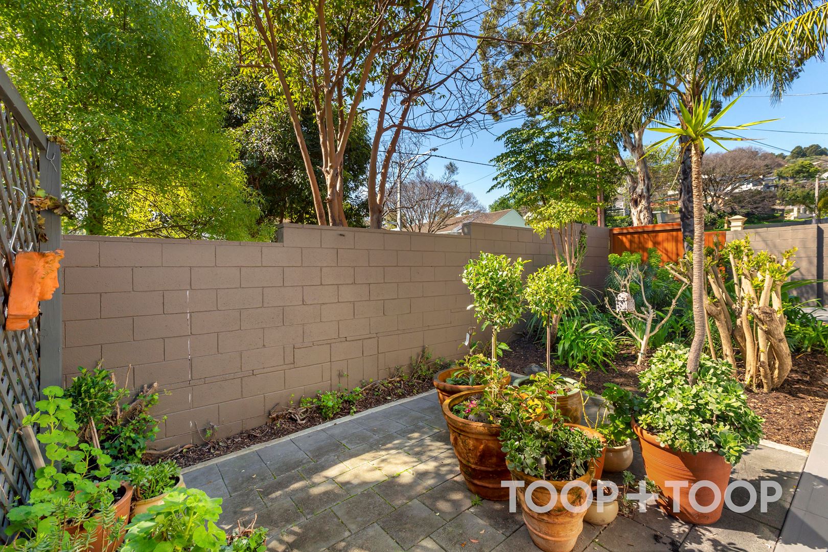 30A Thirkell Avenue, Beaumont SA 5066, Beaumont - Thumbnail 7