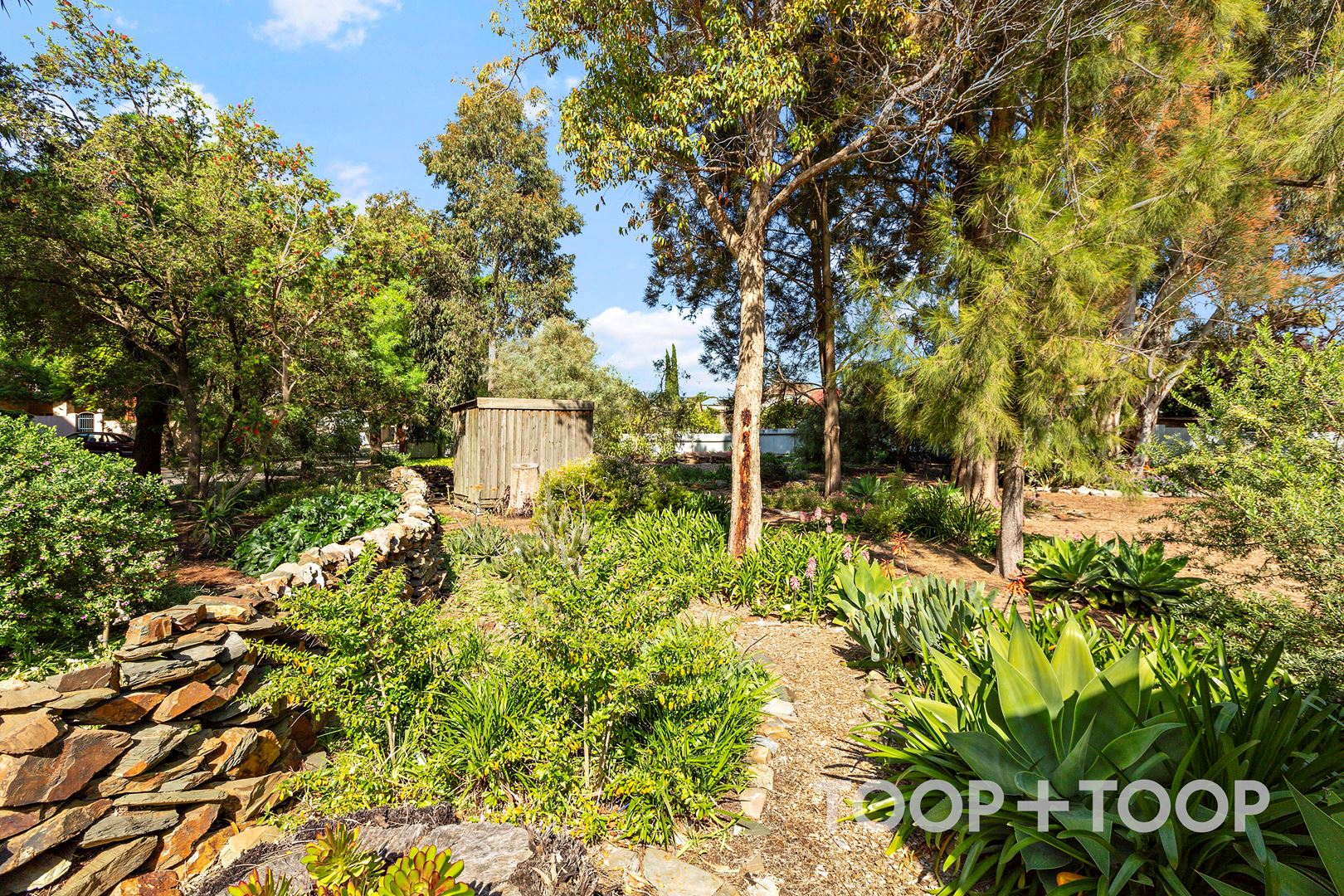 32 Oxenbould Street, Parkside SA 5063, Parkside - Thumbnail 4