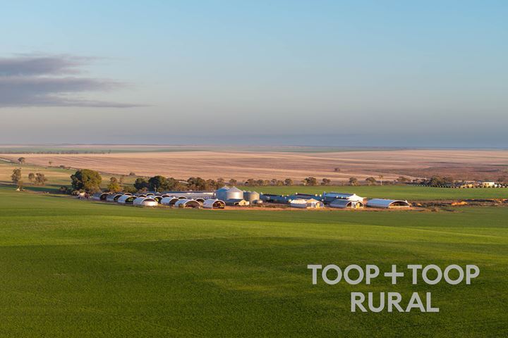 735 Koch Road (via Loxton)