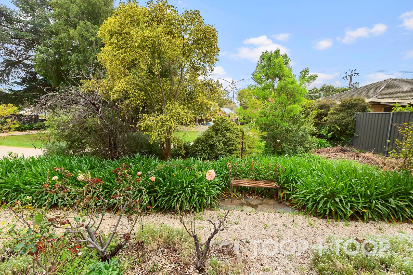 3 French Street, Netherby SA 5062, Netherby - Thumbnail 7