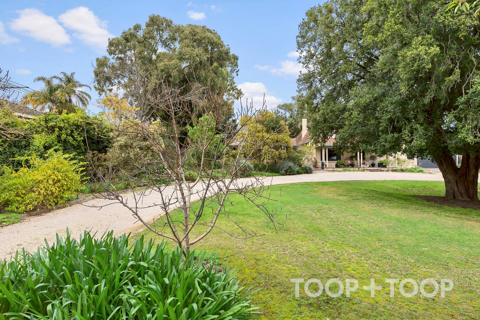 3 French Street, Netherby SA 5062, Netherby - Thumbnail 6