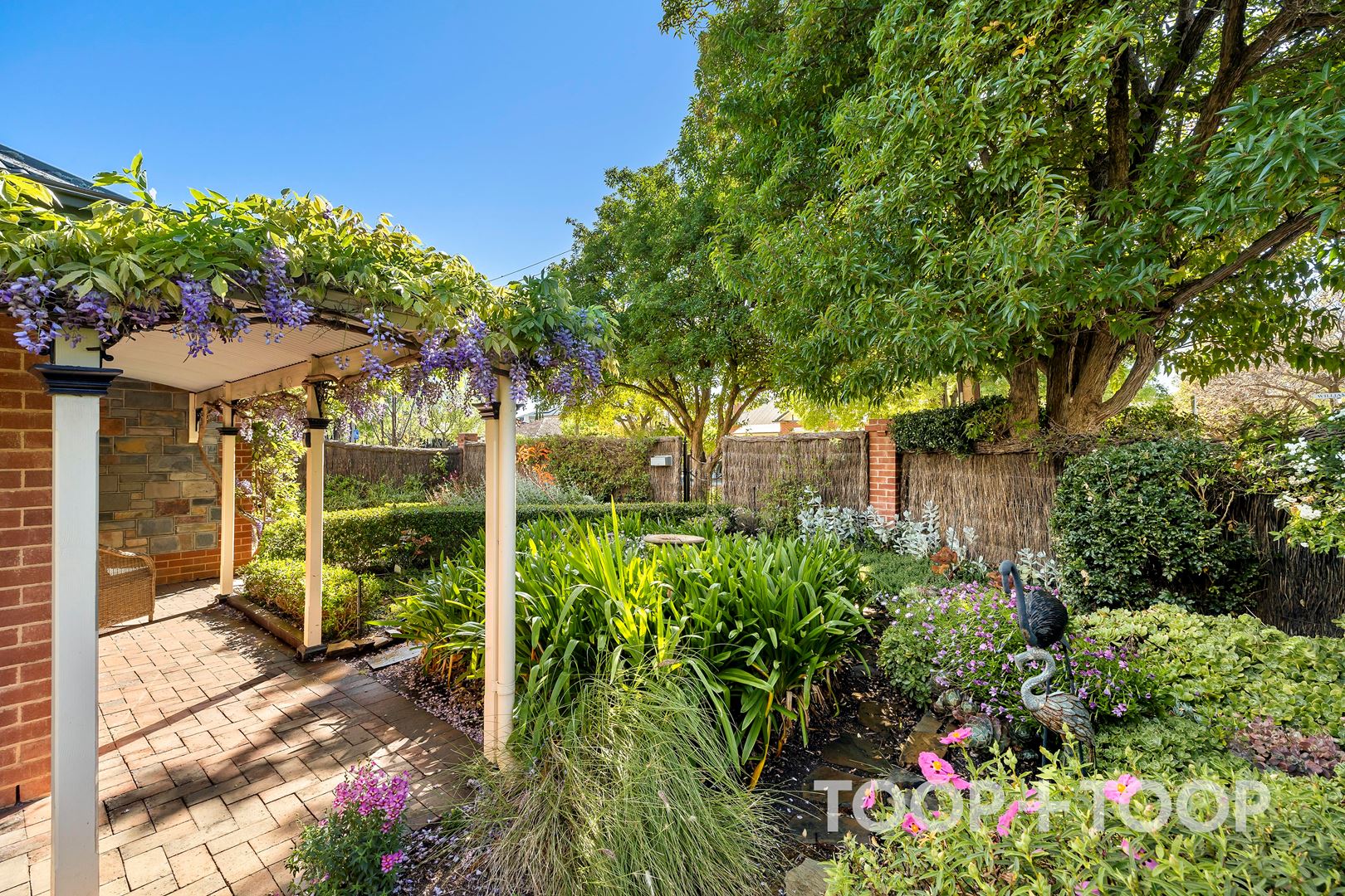 24A William Street, Hawthorn SA 5062, Hawthorn - Thumbnail 4