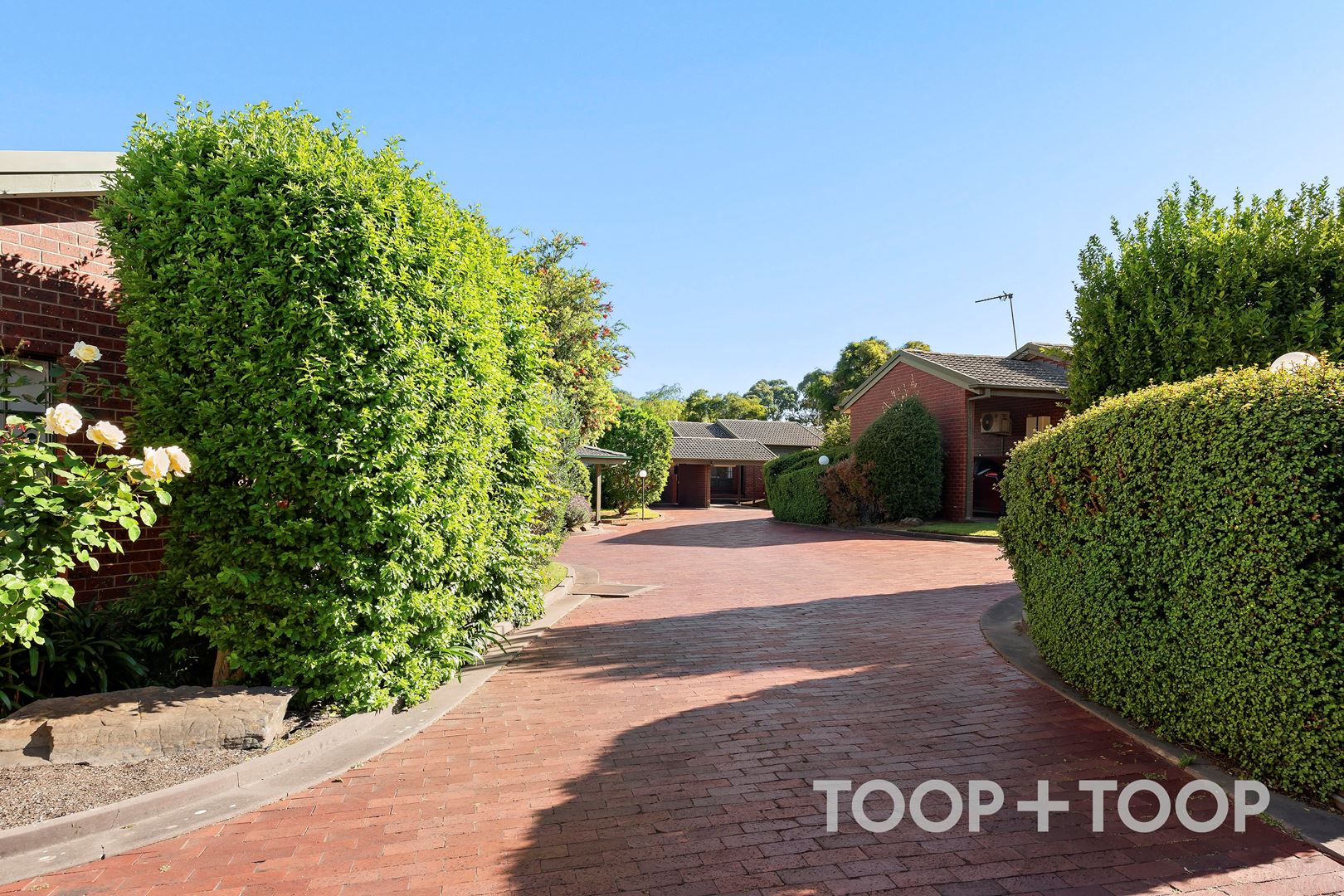 7 / 22A Cross Road, Myrtle Bank SA 5064, Myrtle Bank - Thumbnail 2