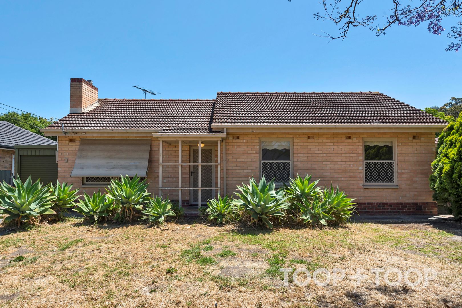 7 Diosma Crescent, Lockleys SA 5032, Lockleys - Image 1