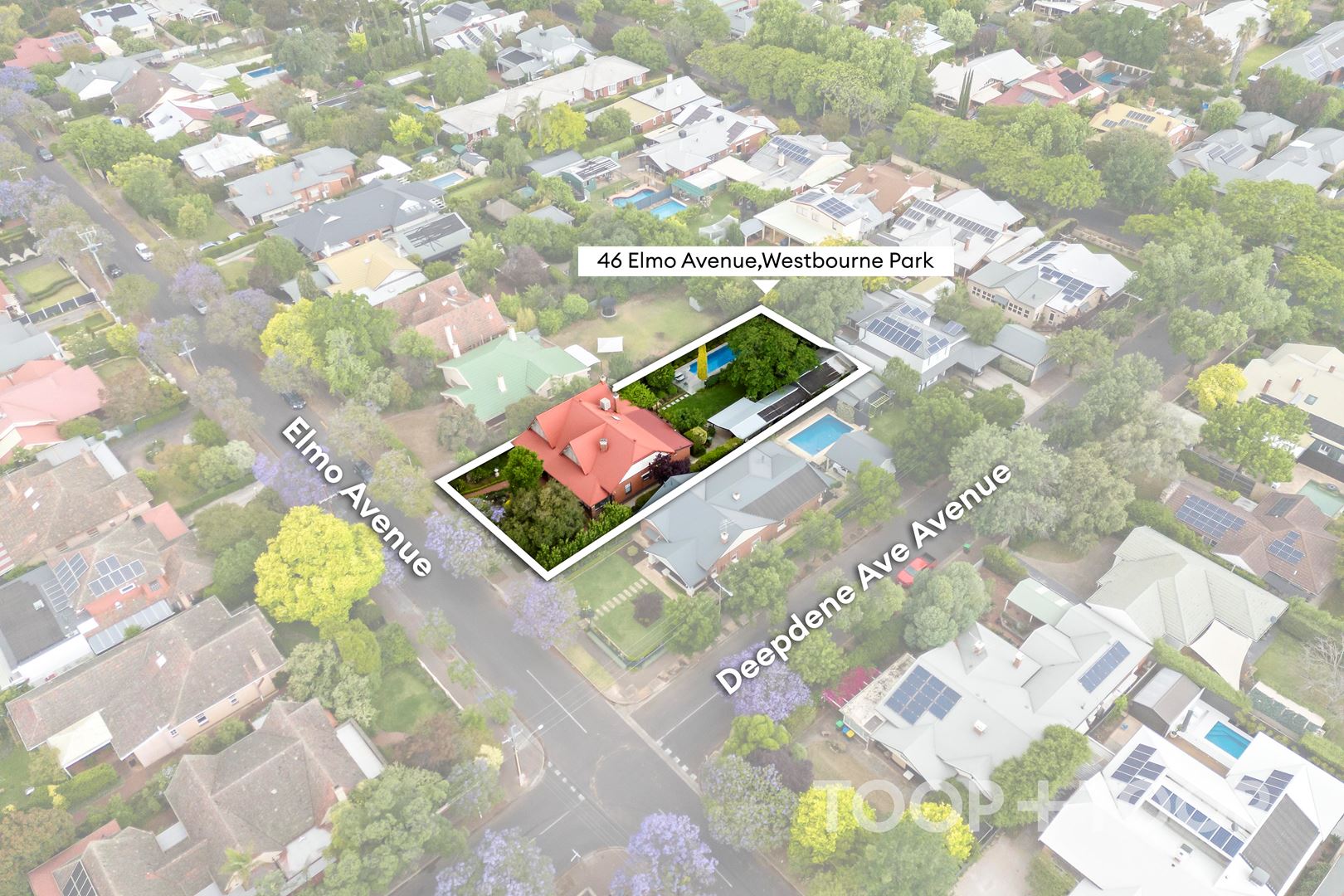 46 Elmo Avenue, Westbourne Park SA 5041, Westbourne Park - Thumbnail 4