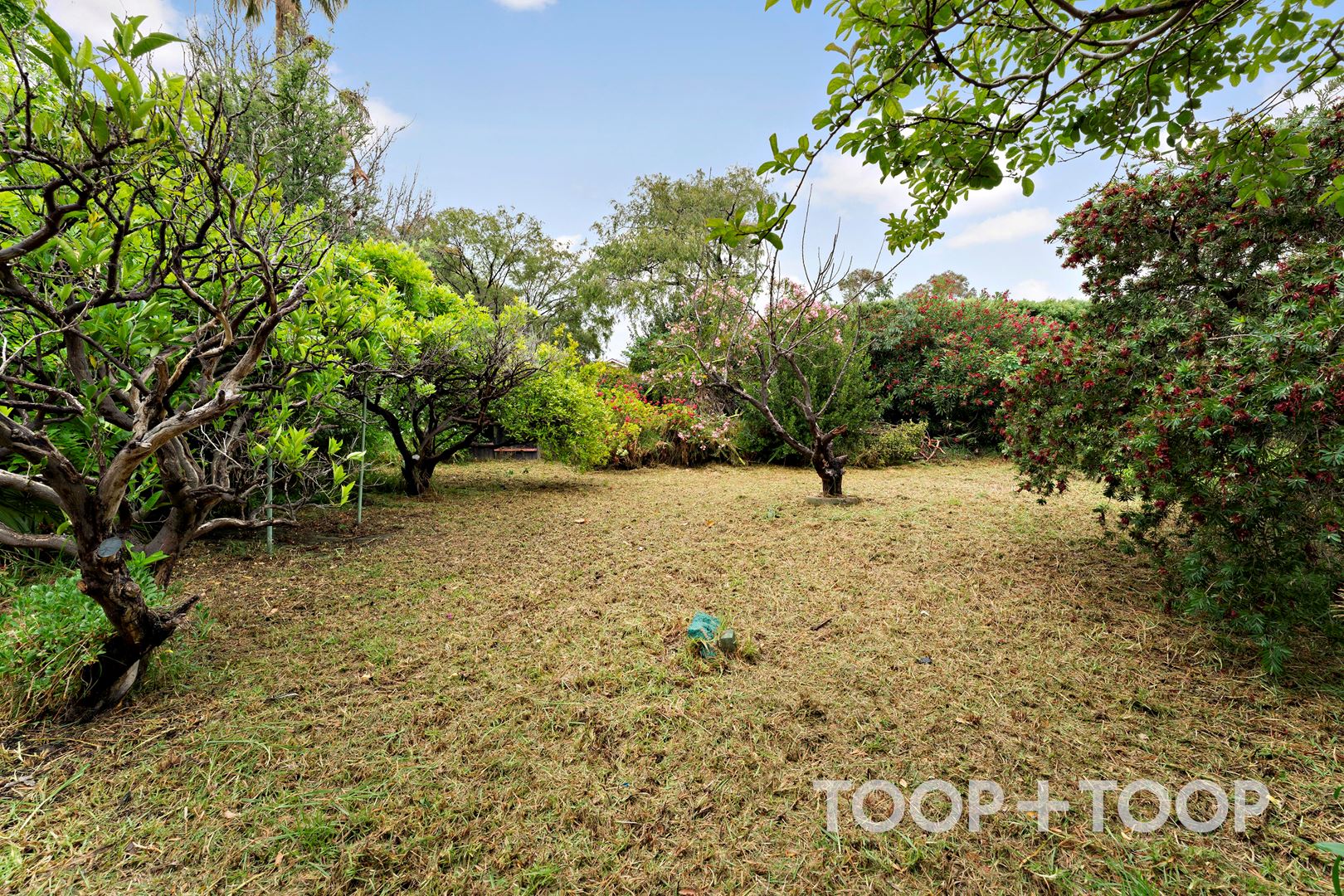 7 Waverley Street, Mitcham SA 5062, Mitcham - Thumbnail 4