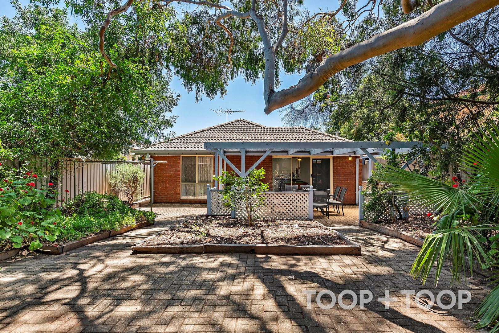 6 Burnley Grove, Mitchell Park SA 5043, Mitchell Park - Thumbnail 2