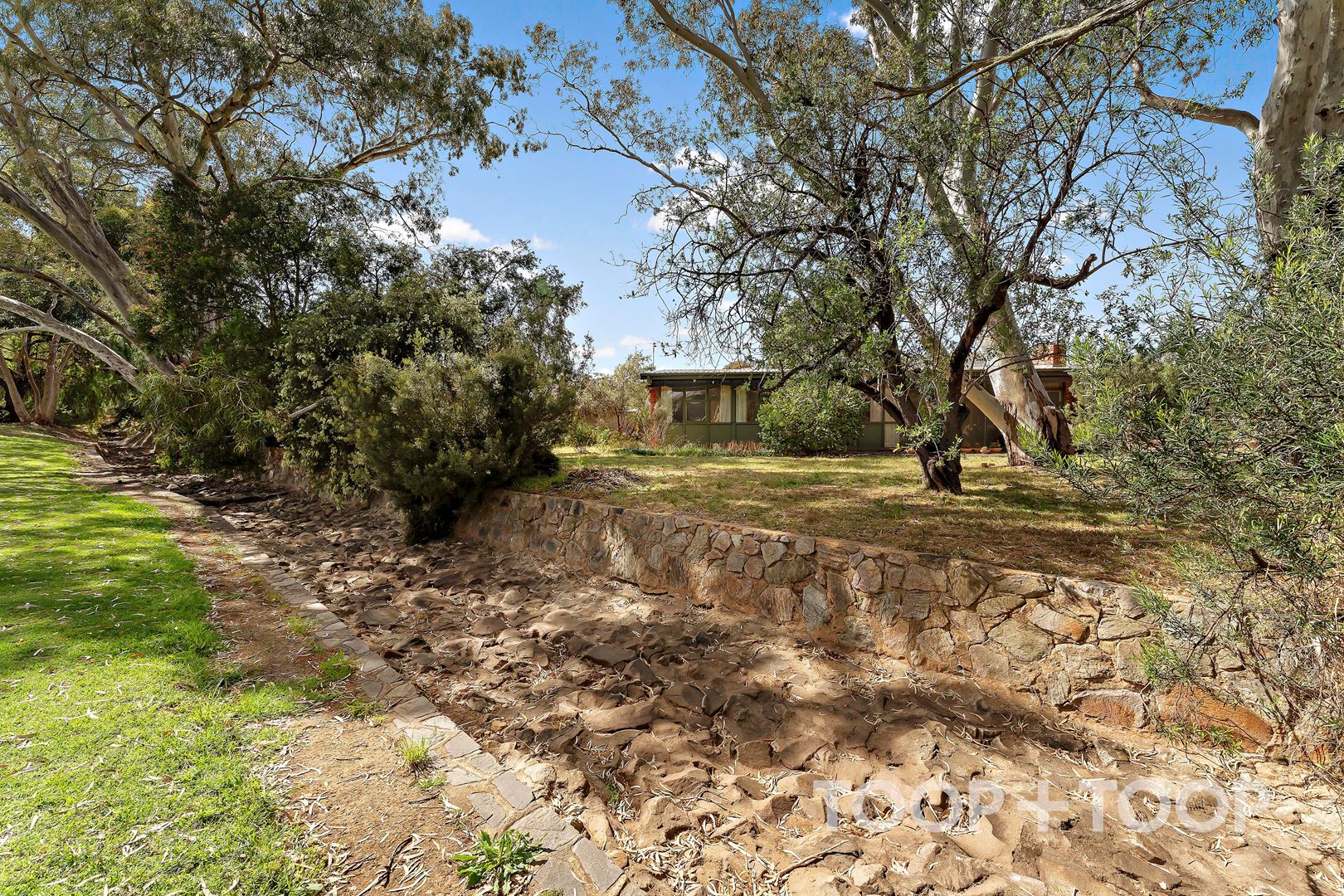 3 Orange Grove, Tranmere SA 5073, Tranmere - Thumbnail 4