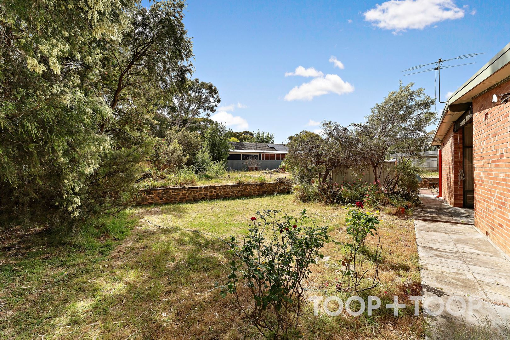 3 Orange Grove, Tranmere SA 5073, Tranmere - Thumbnail 5