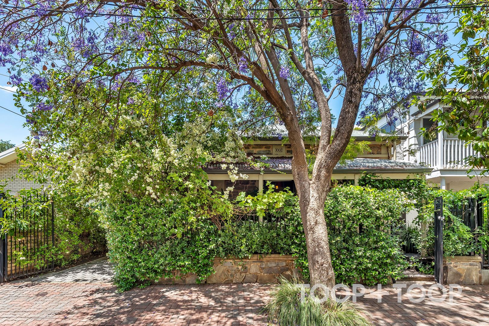 24 Birrell Street, Norwood SA 5067, Norwood - Image 1