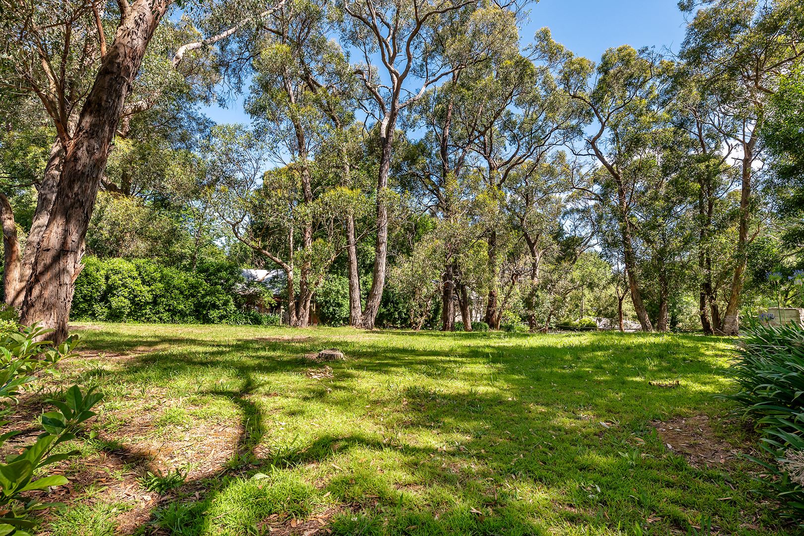 Lot 41 Osterley Avenue, Bridgewater SA 5155, Bridgewater - Thumbnail 2