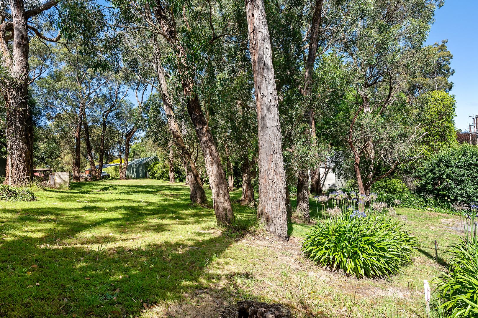 Lot 41 Osterley Avenue, Bridgewater SA 5155, Bridgewater - Thumbnail 5