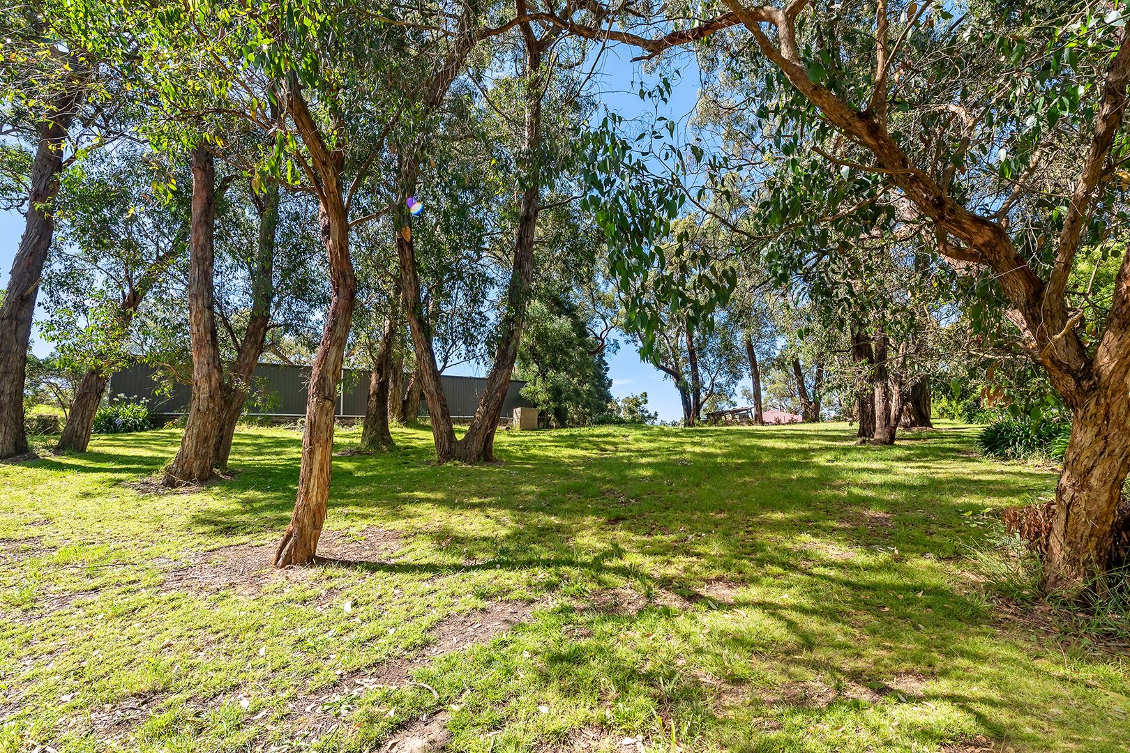 Lot 41 Osterley Avenue, Bridgewater SA 5155, Bridgewater - Thumbnail 6
