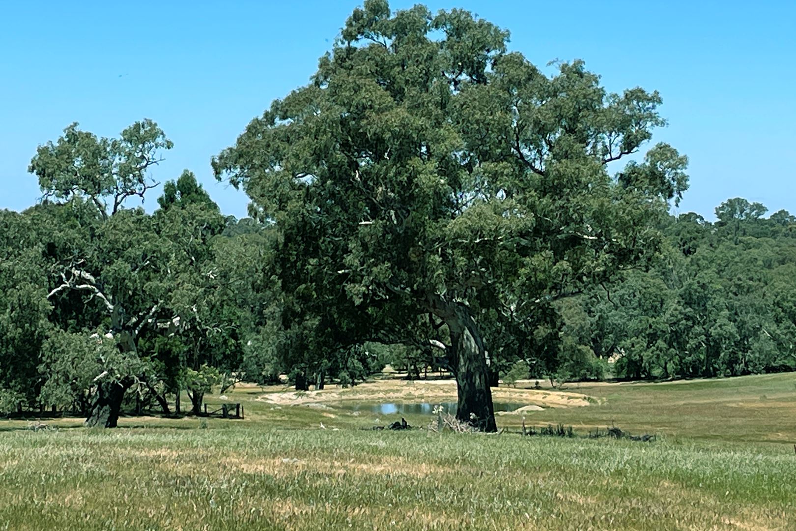 Lot 21 / 201 Mcgormans Road, Mount Pleasant SA 5235, Mount Pleasant - Thumbnail 7
