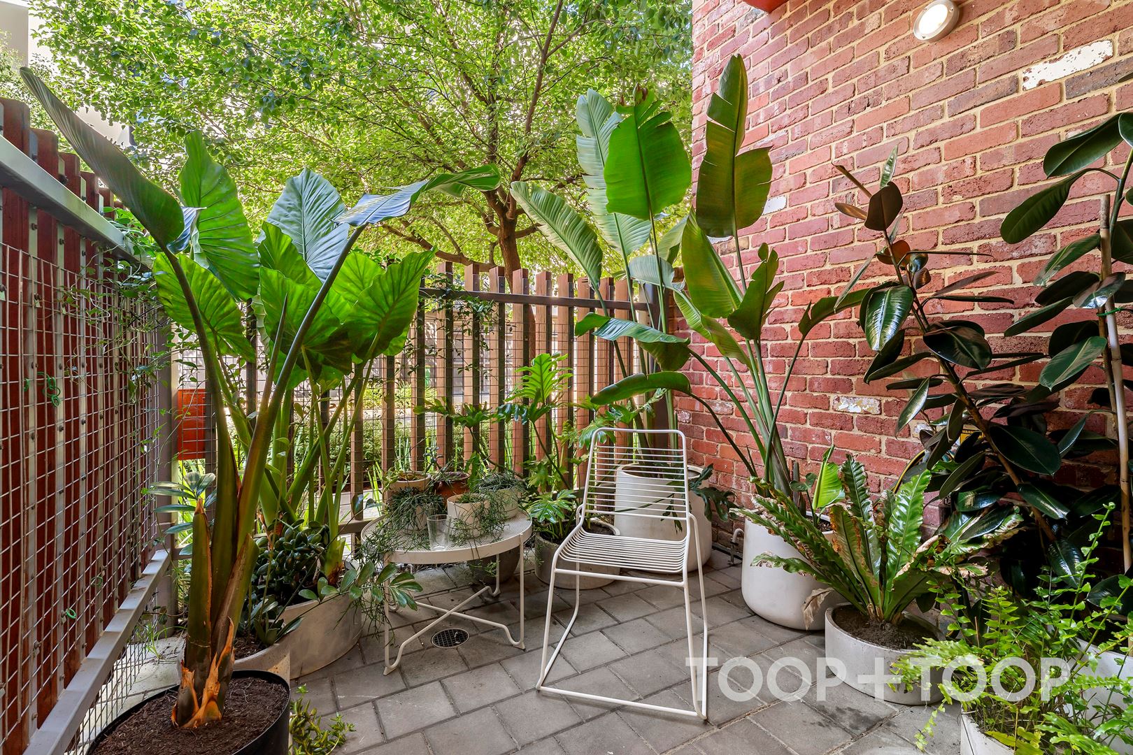 39 Sixth Street, Bowden SA 5007, Bowden - Thumbnail 3