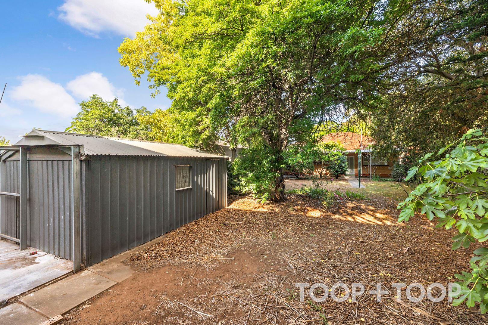 48 Crossley Avenue, Croydon Park SA 5008, Croydon Park - Thumbnail 5