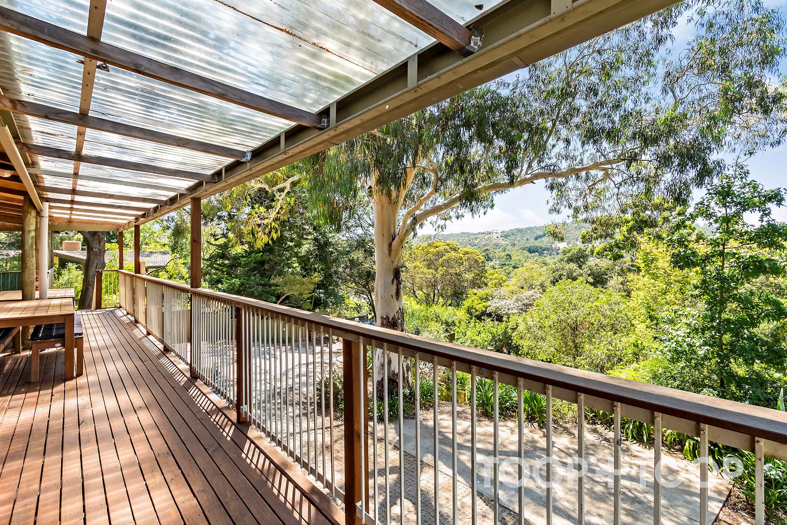 24 Jackson Avenue, Coromandel Valley SA 5051, Coromandel Valley - Thumbnail 2
